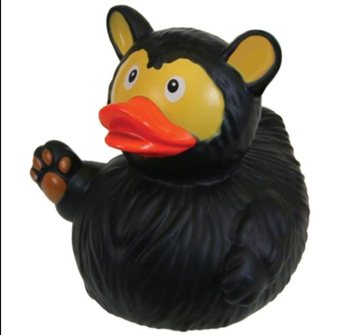 Toy Duck Black Bear Duck