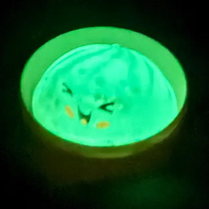 The Viral Mini Glow in the Dark Dumpling