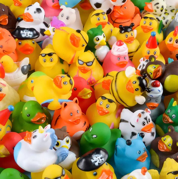 Assorted Rubber Duckies
