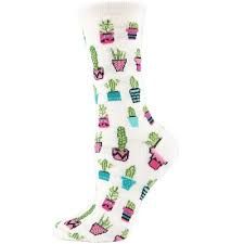 Potted Cacti Crew | Ivory | 9-11