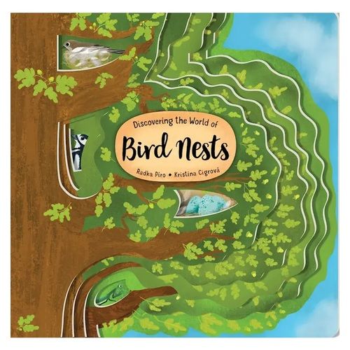 Discovering the World of Bird Nests -Children's Picture Book