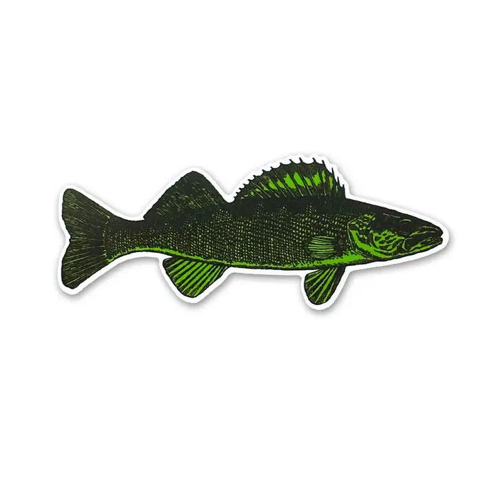 MN Walleye Sticker