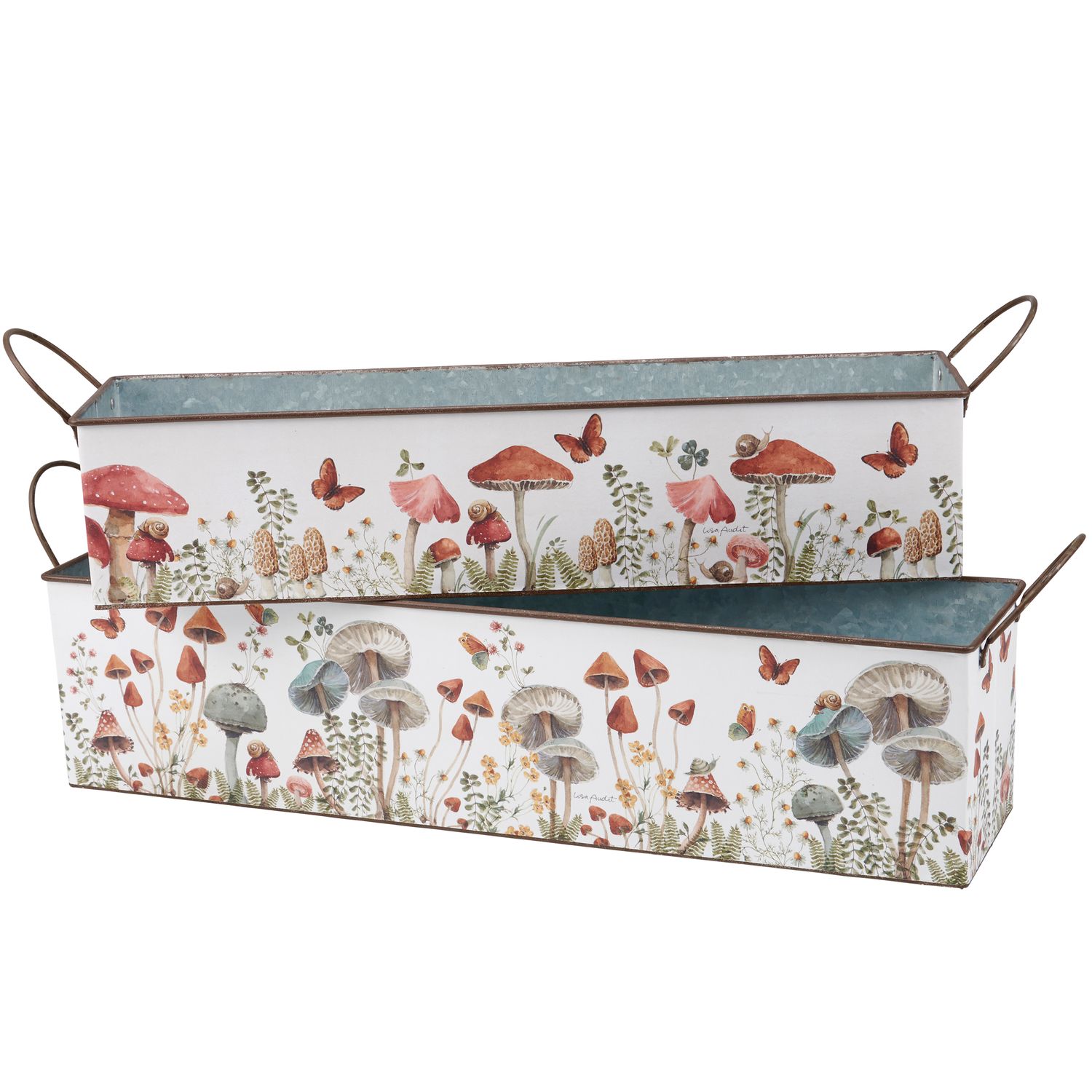 Mushroom Study Bin Set | Primitives by Kathy