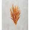 Fall Grasses Bouquet | Primitives by Kathy