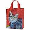 Colorful Cat Bag | Primitives by Kathy