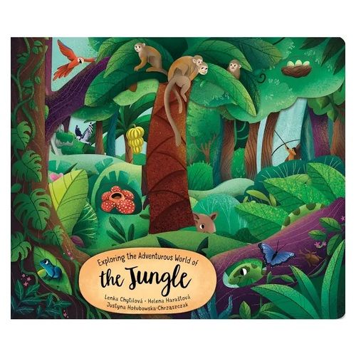 Exploring the Adventurous World of the Jungle
