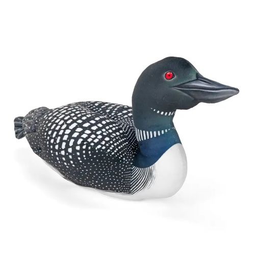 Living Loon 6"