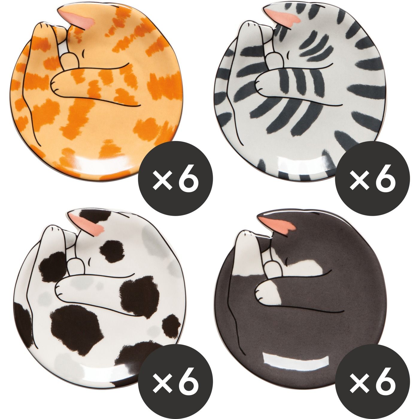 Trinket Tray - Meow &amp; Furever Set/24 Assorted DIA4.25"