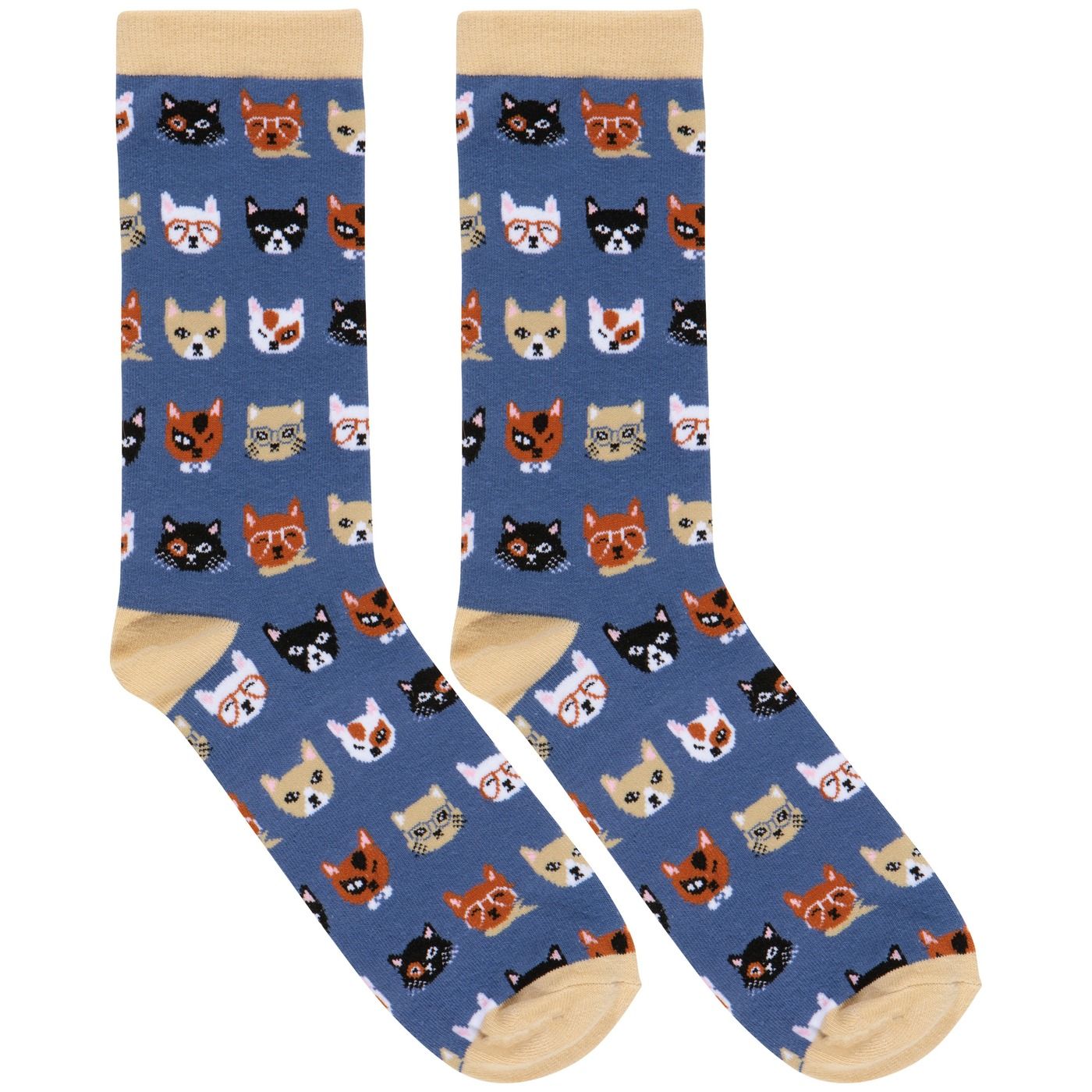 Socks and Counter Display - Feline Fine W3.3 × H15"