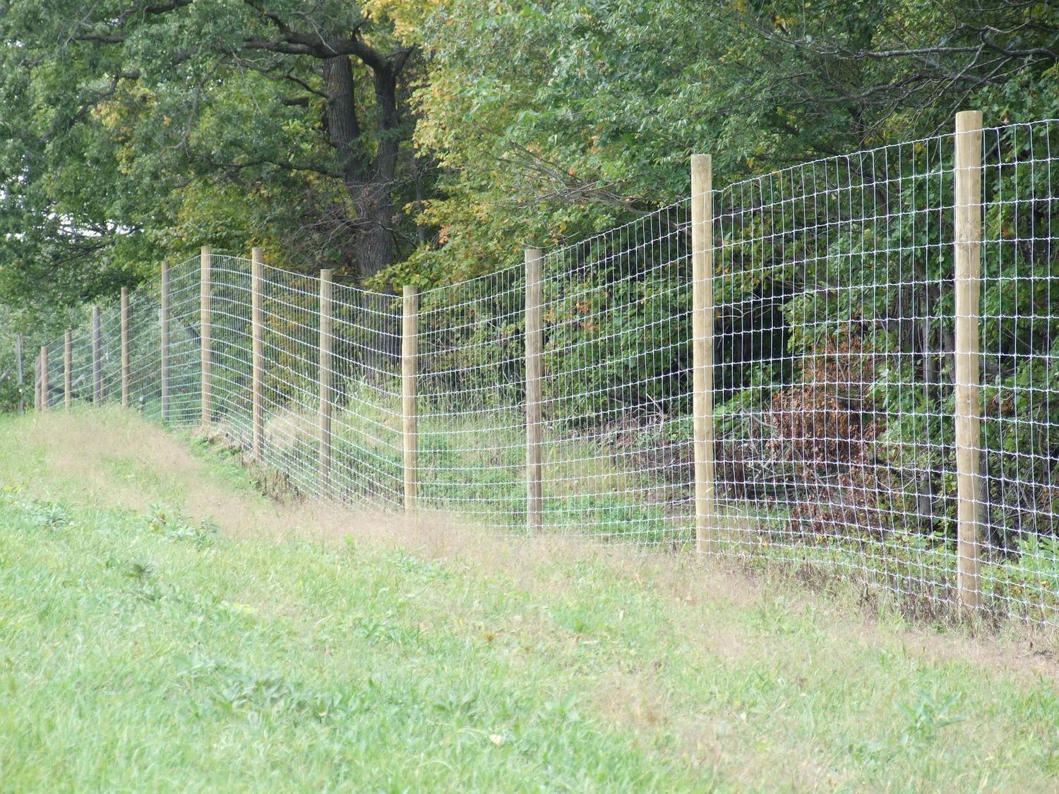 4" x 12'  Wood Post Pressure Treated CCA