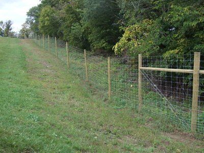 Stay-Tuff 20-96-12 x 660' Fixed Knot Woven Wire Stay-Tuff 20-96-12 x 660' Fixed Knot Woven Wire