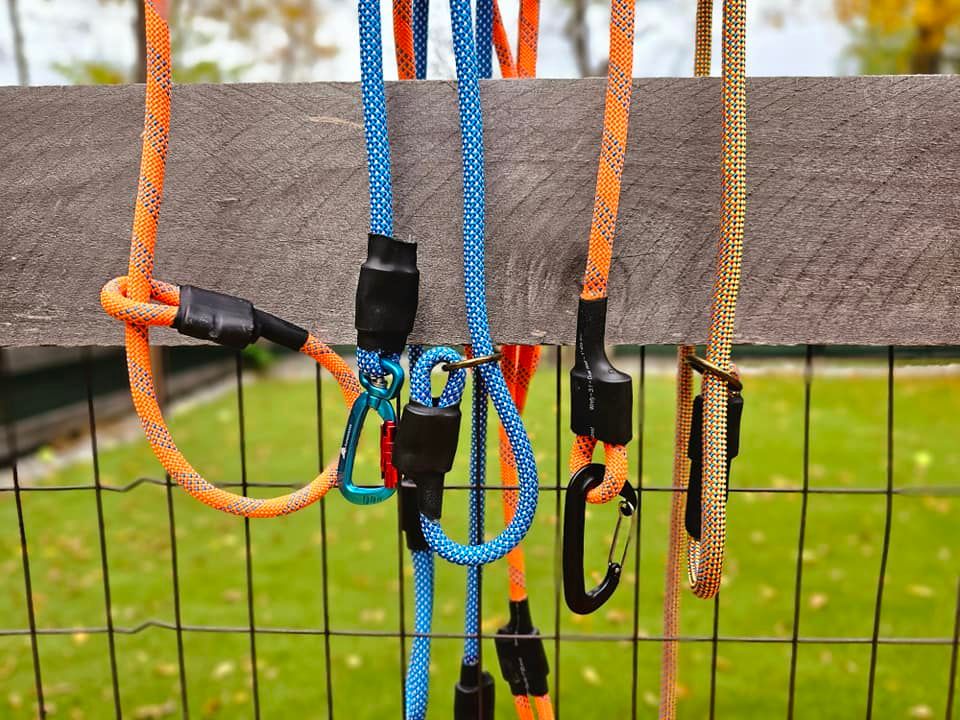 Indogstructible Leash Mystery color