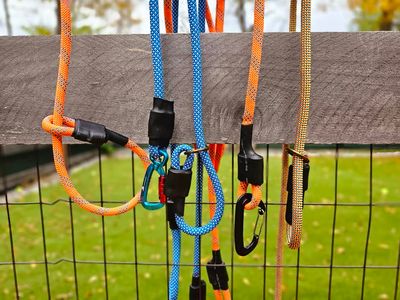 Indogstructible Leash Mystery color