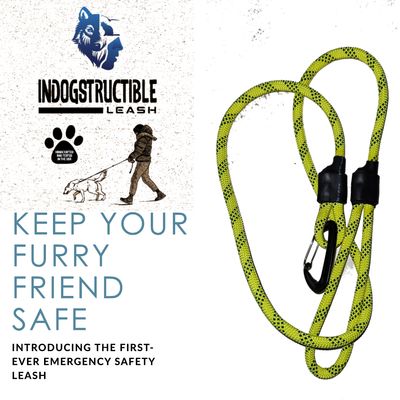 Indogstructible Leash Mystery Leash