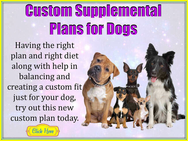 Custom Supplemental Plan for Dogs