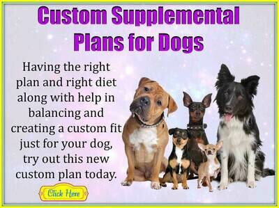 Custom Supplemental Plan for Dogs