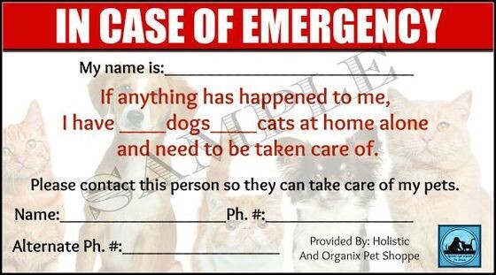 Emergency ID Card for Wallet