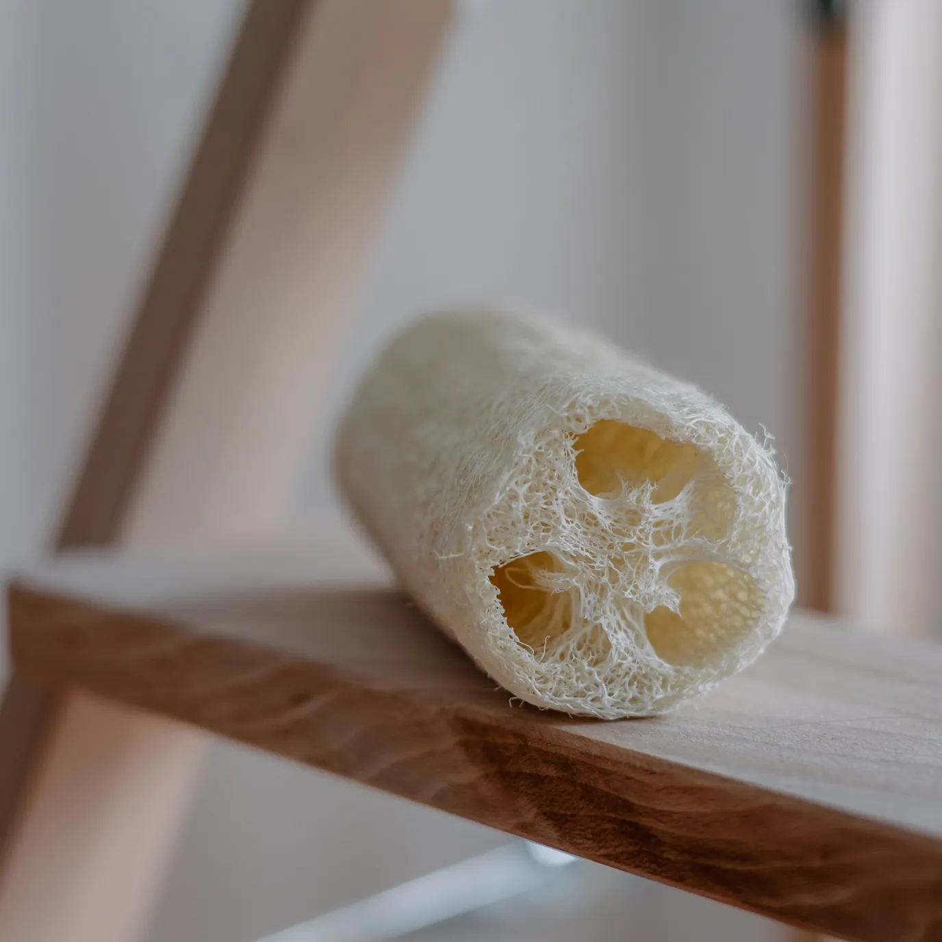 Loofahspons, vegan zelfbruinende komkommer spa fair