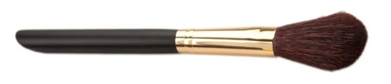 L’Paige Blush Pro Brush