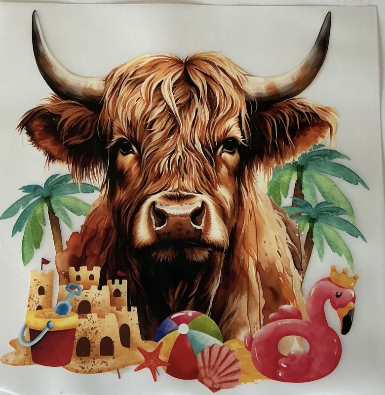 Highland cow