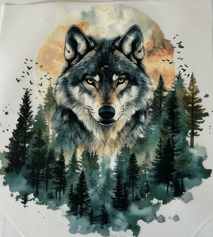 Tee shirts