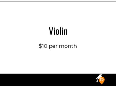 Violin