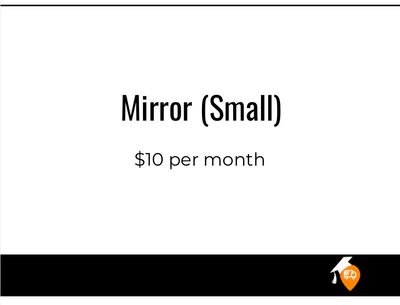 Mirror (Small)