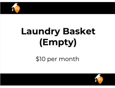Laundry Basket (Empty)