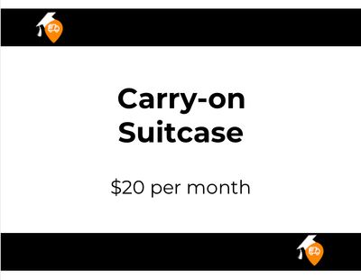 Carry-on Suitcase