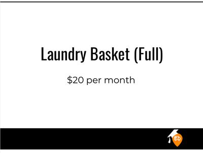 Laundry Basket (Full)