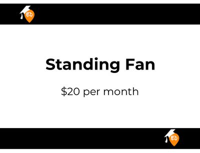 Standing Fan