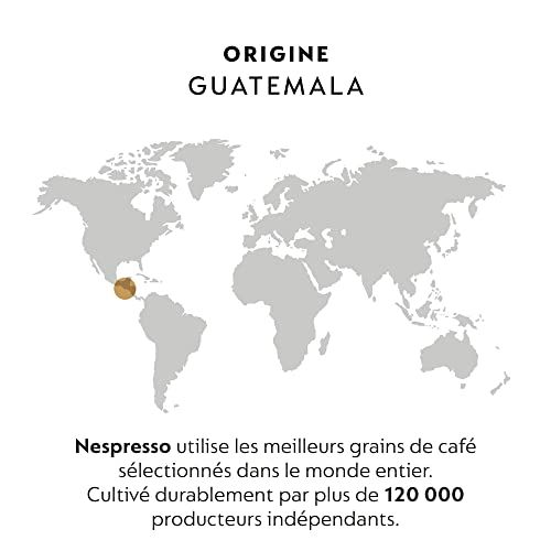 Nespresso Professional - 100 Capsules Guatemala - Intensity 6 - For Espresso &amp; Lungo - (2 boxes of 50)