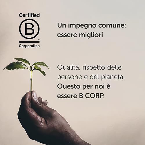 illy Classic Beans 250g