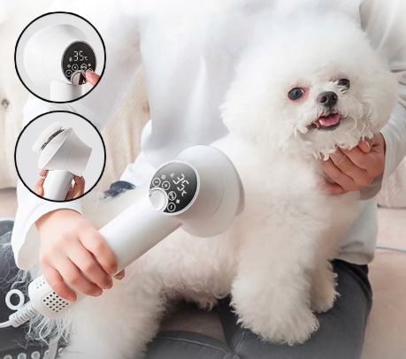 Smart Pet Hair Dryer Dog Golden Retriever Cat Grooming Hairdressing Blow &amp; Comb Silent No Harm Pet Cleaning Supplies Pet Products