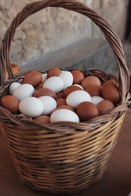 Confezione 4 Uova Fresche