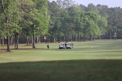 Participants (Teams &amp; Golfers)