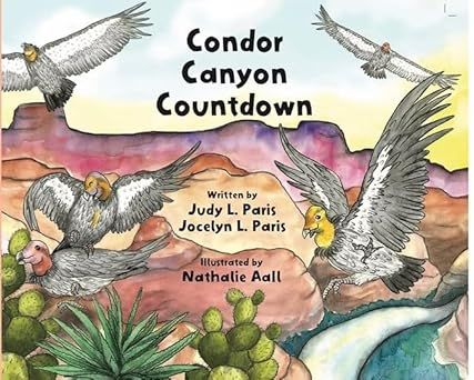 Condor Canyon Countdown