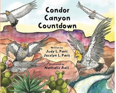 Condor Canyon Countdown
