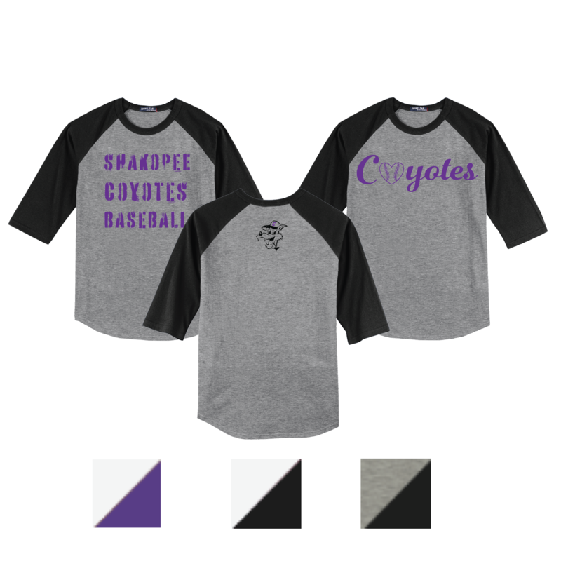 Sport-Tek Colorblock Raglan Jersey - Adult and Youth