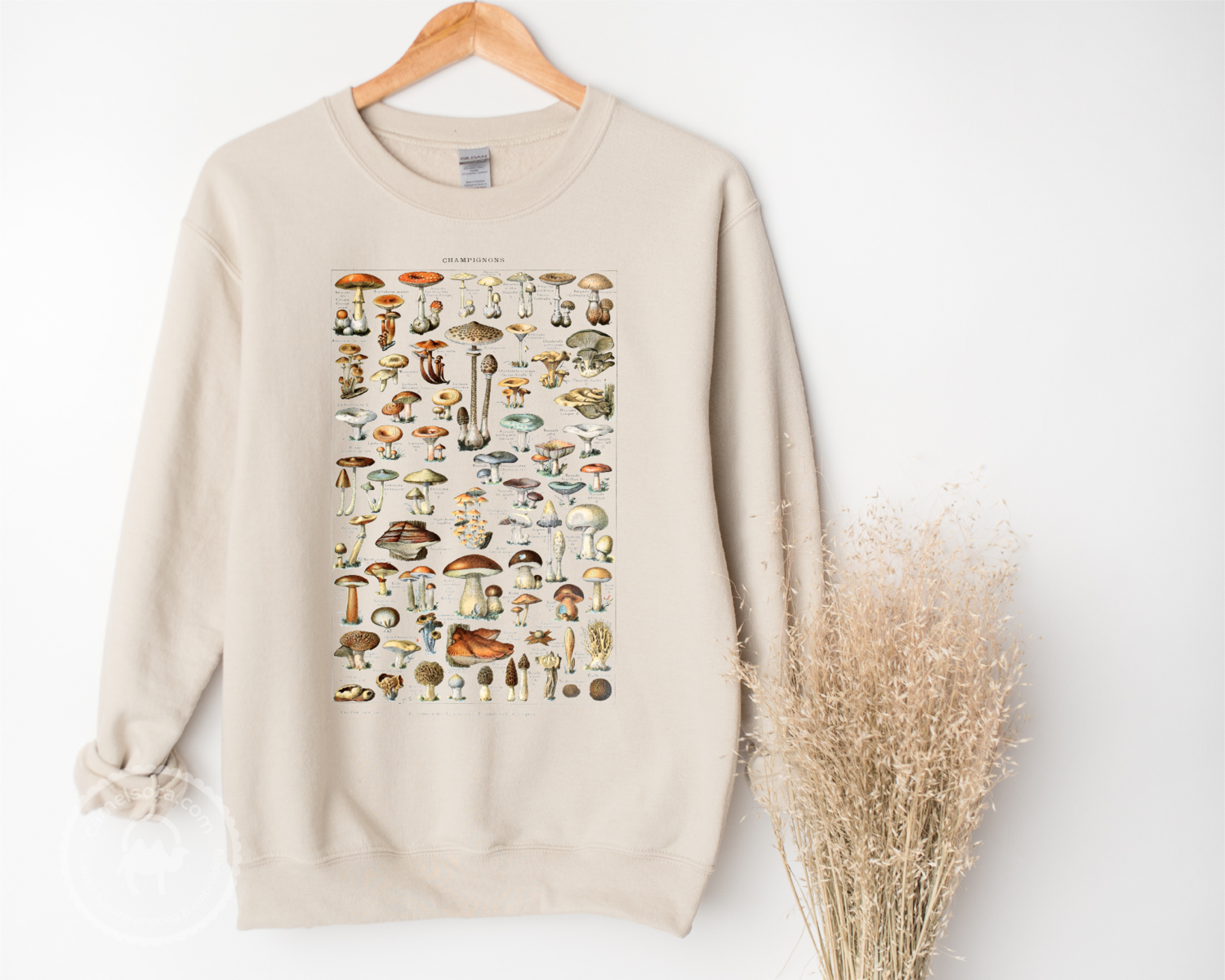 Mushroom Sweatshirt Vintage Chart Encyclopedia, SWEATSHIRT COLOR: Natural
