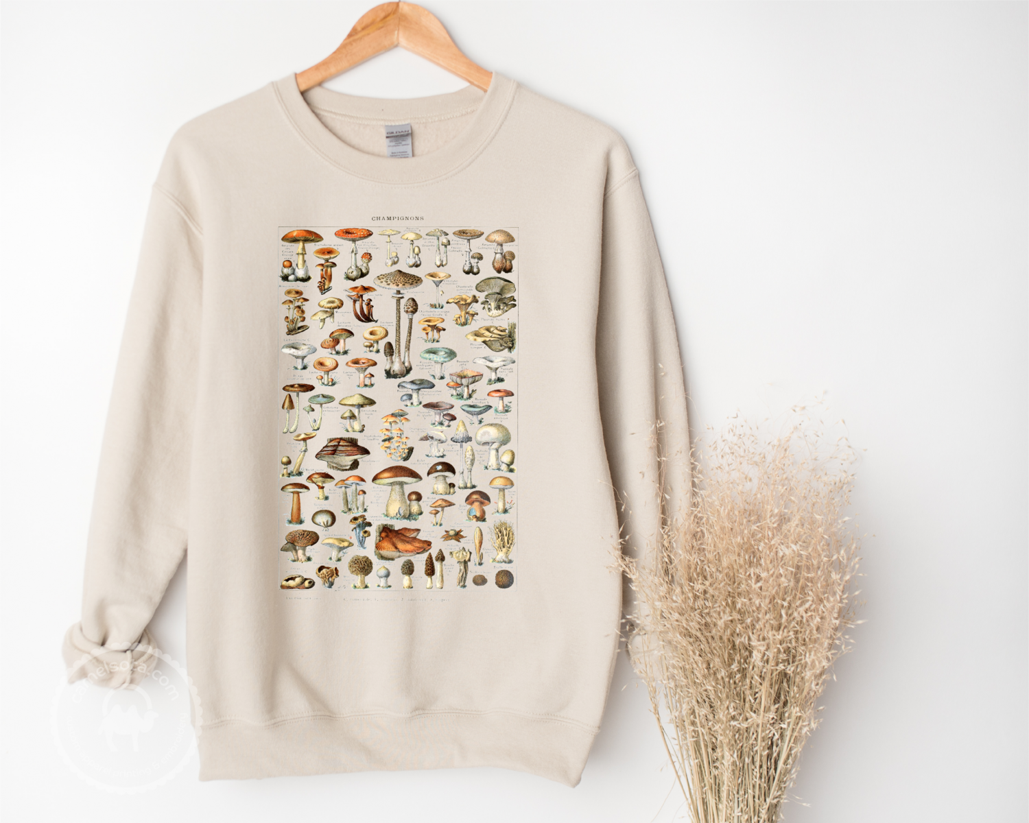 Mushroom Shirt Vintage Chart Encyclopedia Sweatshirt