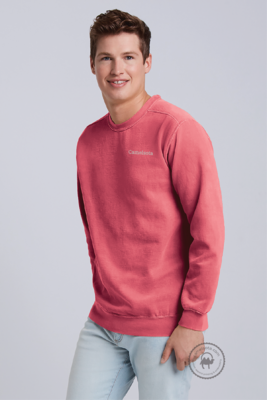 Comfort Colors Ring Spun Crewneck Sweatshirt