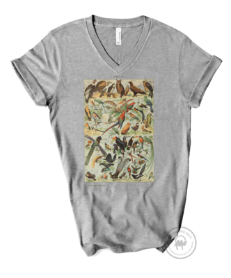 Birds Vintage Ilustration Shirt