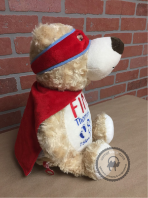 Custom Embroidered Bear Cubbie - Hero Bear