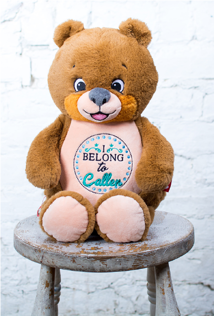 Custom Embroidered Bear Cubby - Signature Bear