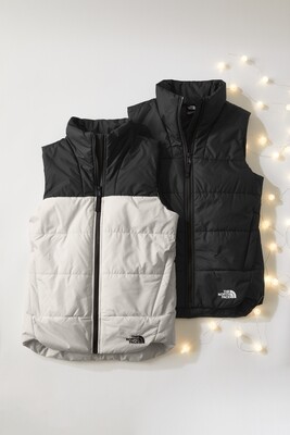 The North Face Everyday Insulated Vest - Men's &amp; Ladies