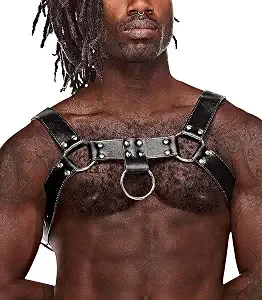Aries Leather Harness - Black