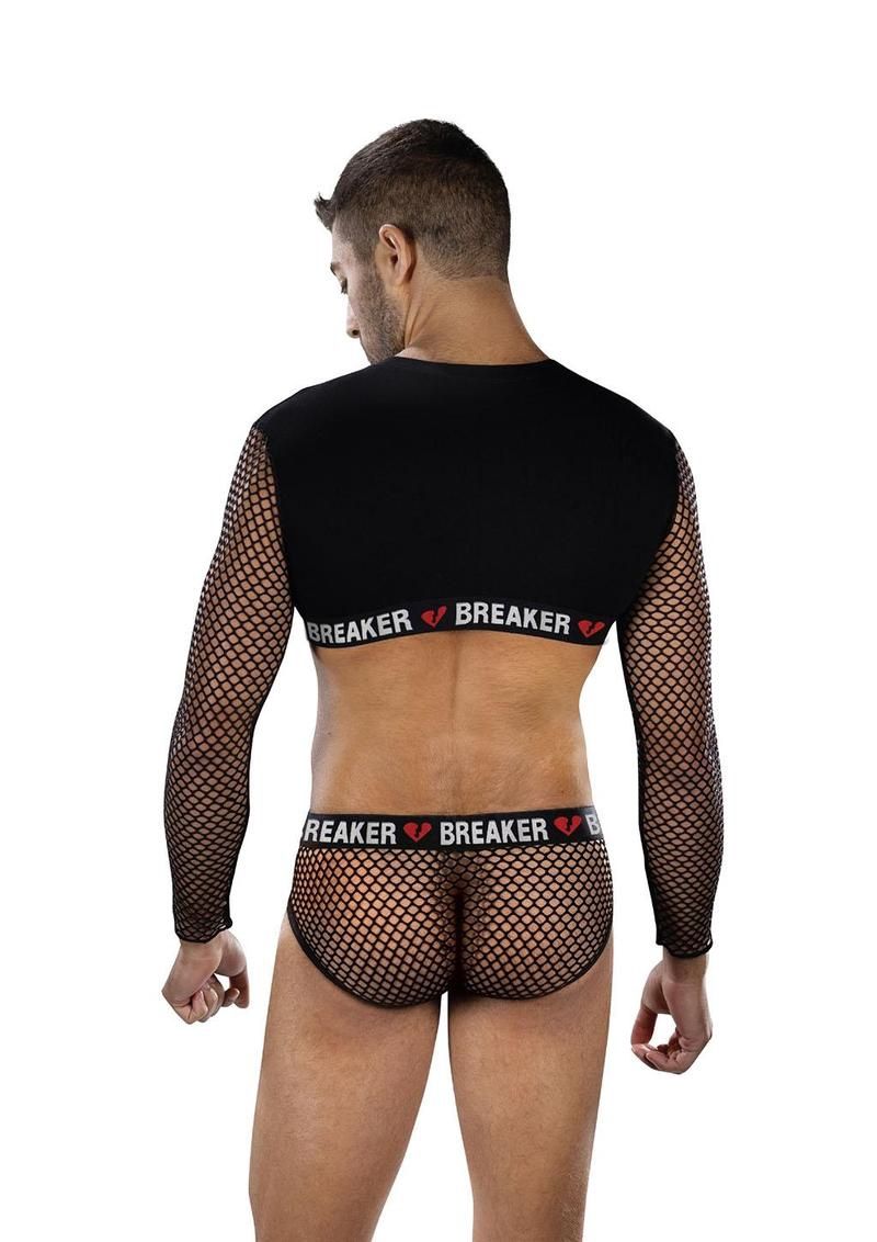 HEARTBREAKER MESH CROP TOP &amp; BRIEFS SET