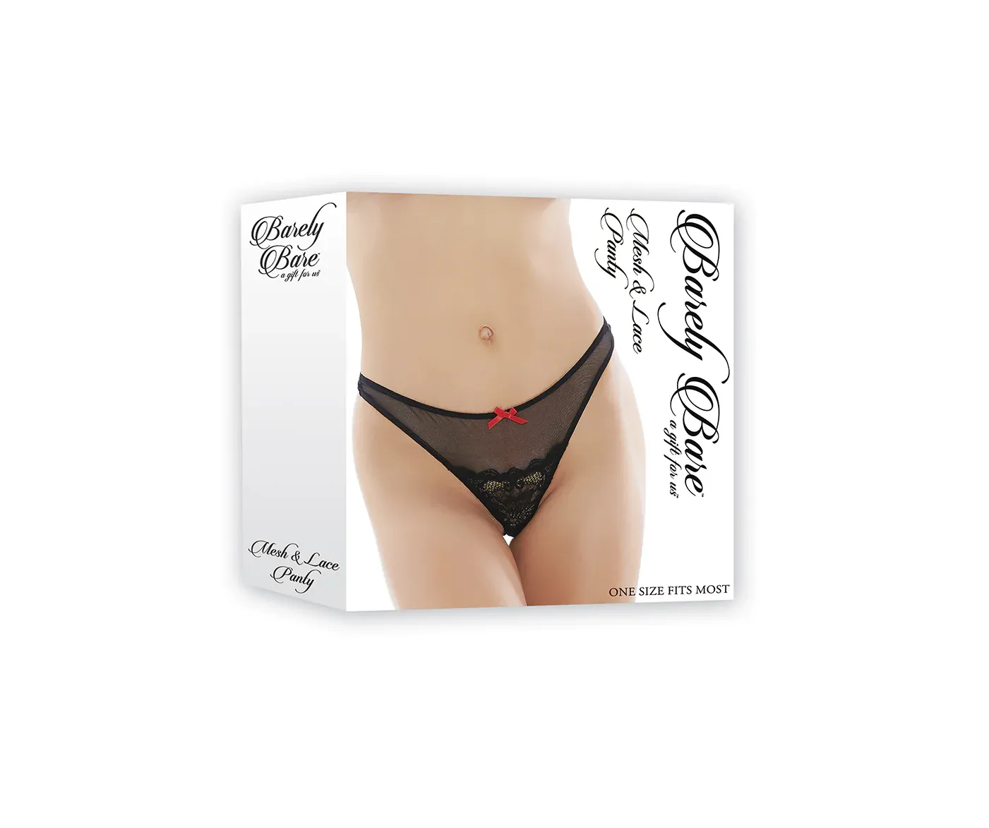 Mesh &amp; Lace Panty