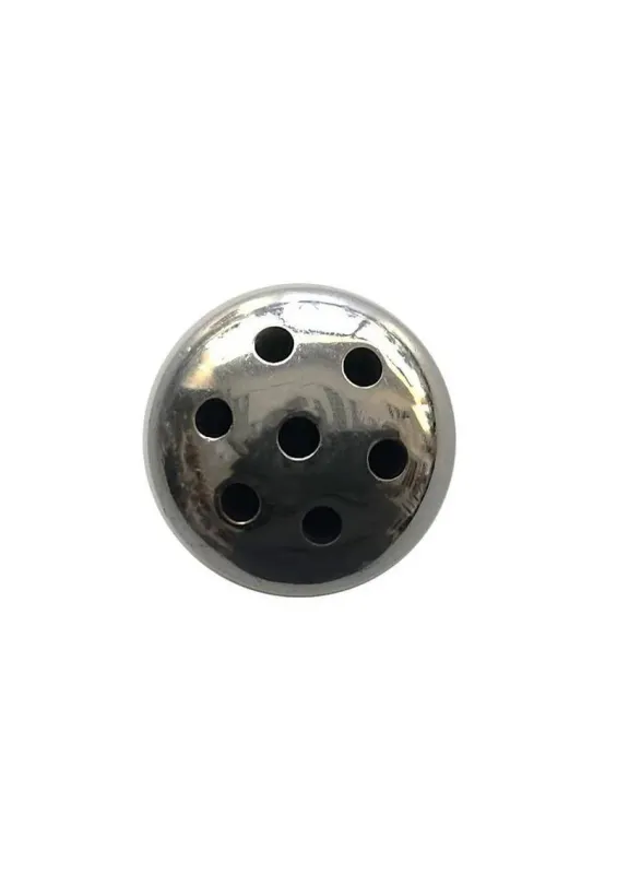 Rouge Stainless Steel Shower Penis Plug